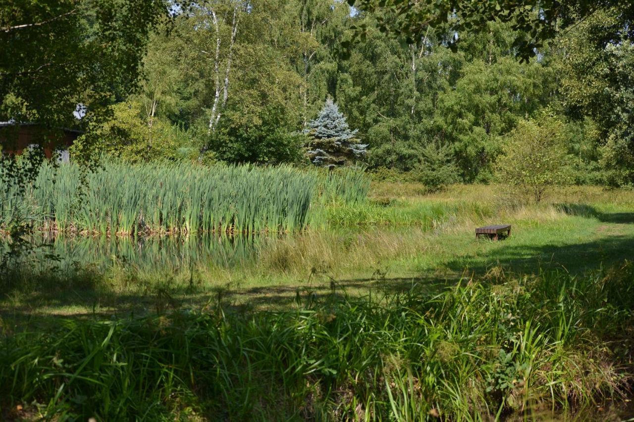 Ferienparadies Muehlenbach 호텔 졸타우 외부 사진